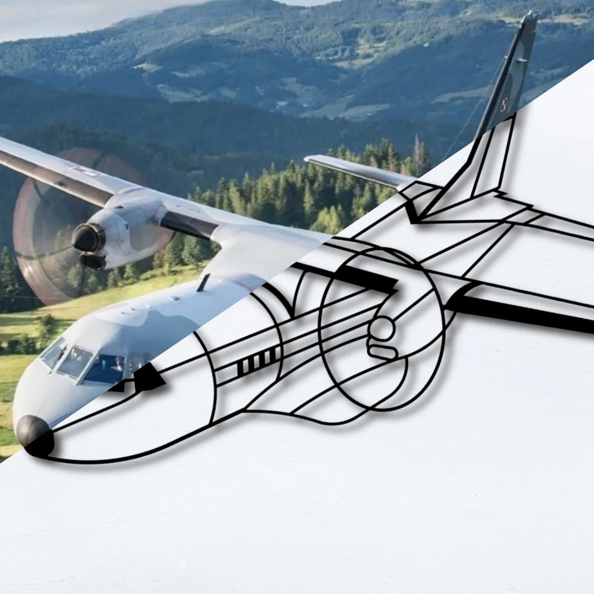 Niestandardowy model samolotu