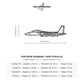 Wymiary i specyfikacja techniczna modelu: McDonnell Douglas F-15 Strike Eagle - Metalowa dekoracja ścienna
